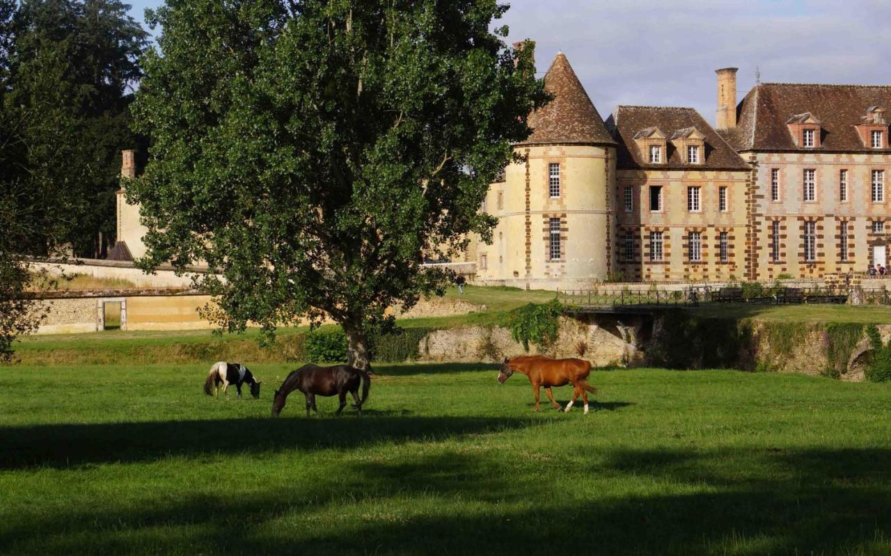 Chateau De La Riviere Bed and Breakfast Pontgouin Exterior foto